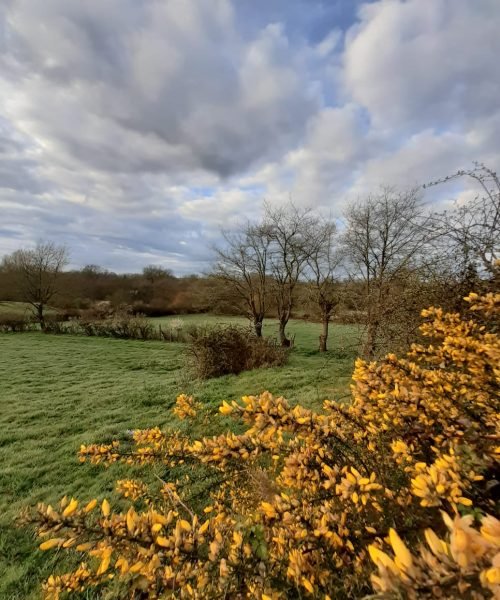 Fabriquez vos instruments et jeux dans la nature